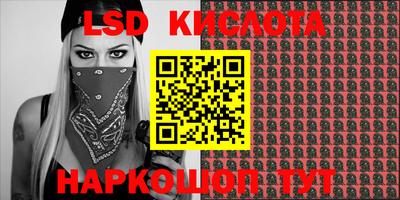 PSILOCYBIN Кулебаки