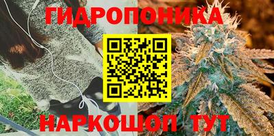 PSILOCYBIN Кулебаки